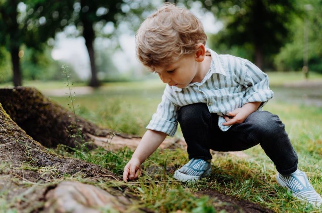 Young boy exploring nature and examining the ground outdoors